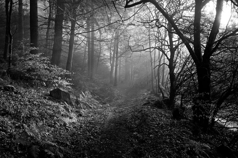 Black And White Landscapes By Landscape Photographer Martin Lawrence