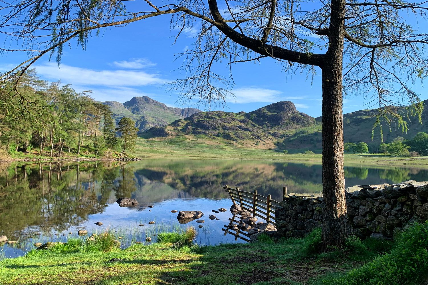Spring returns to Blea Tarn by Martin Lawrence Photography