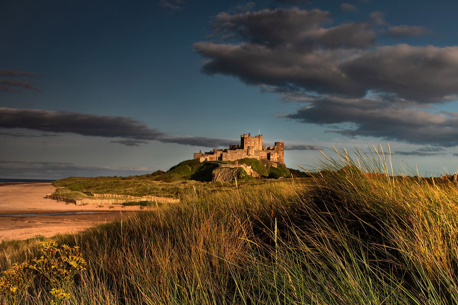 Bamburgh Castle from the Marram Grass by Martin Lawrence Photography