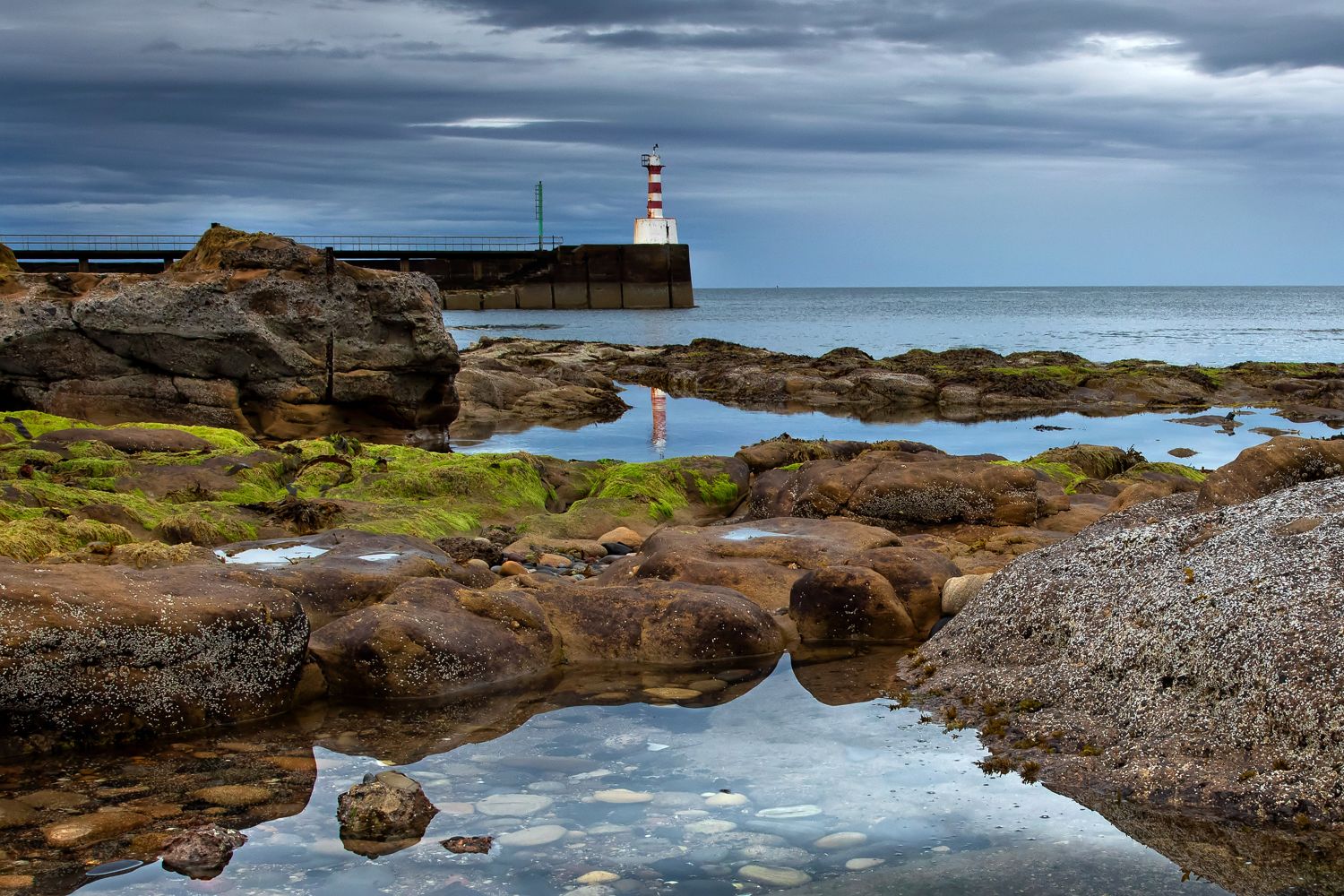 Amble Lighthouse by Martin Lawrence Photography