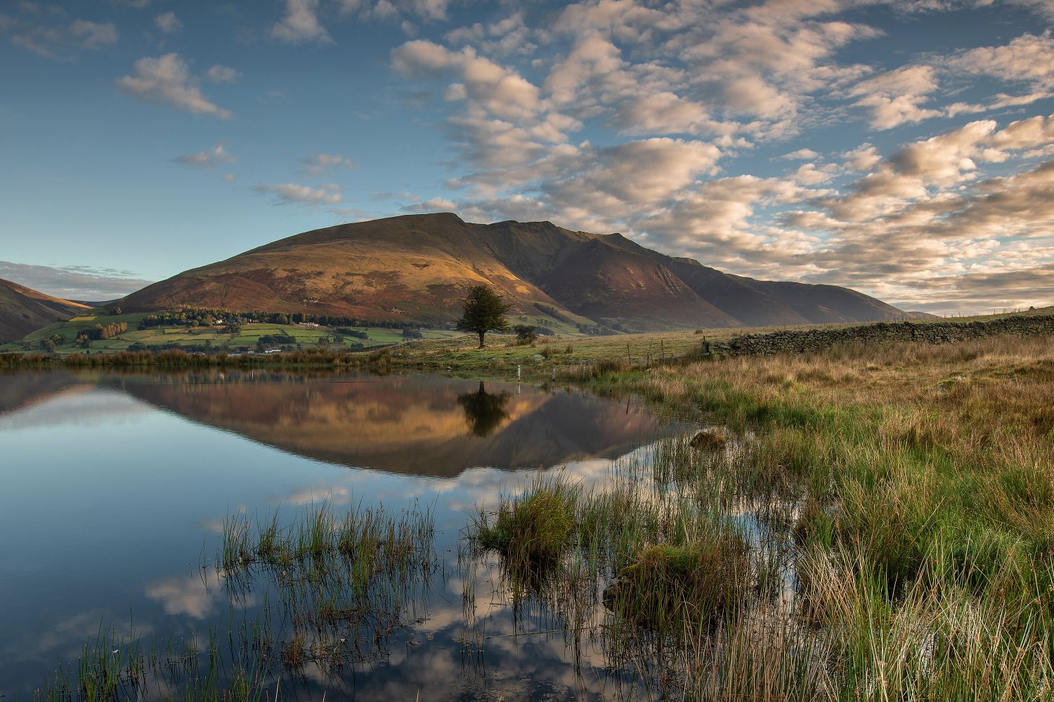 Across Tewet Tarn to Blencathra