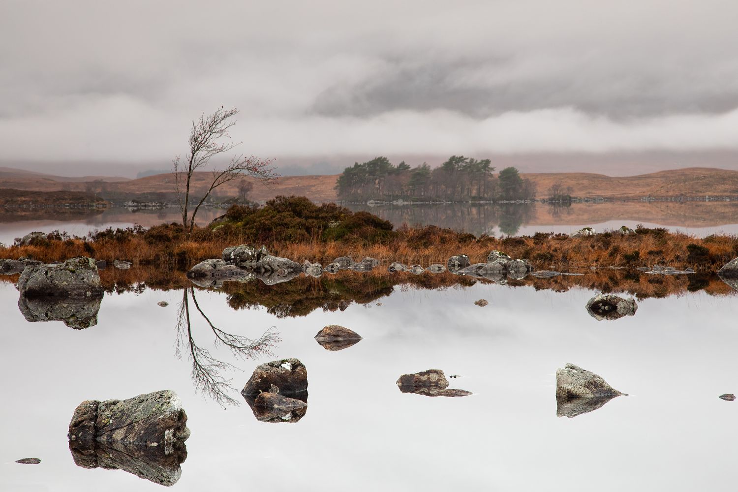 Reflections of the tree on Lochan na h-Achlaise by Martin Lawrence Photography