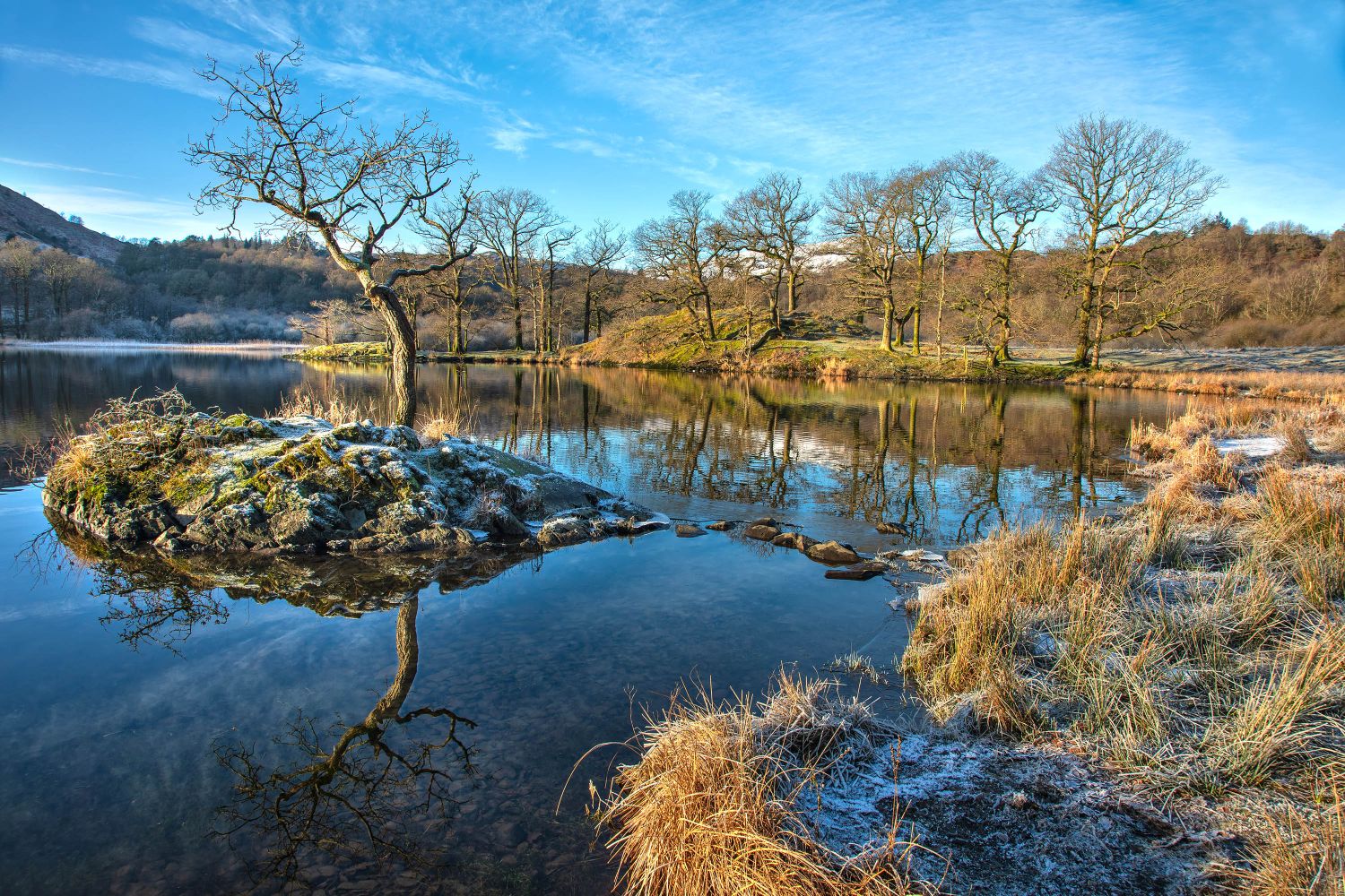 The Rydal Water Tree by Martin Lawrence Photography