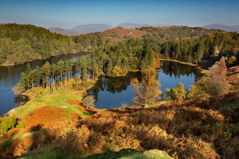 Tarn Hows bathed in autumn sunshine - Martin Lawrence