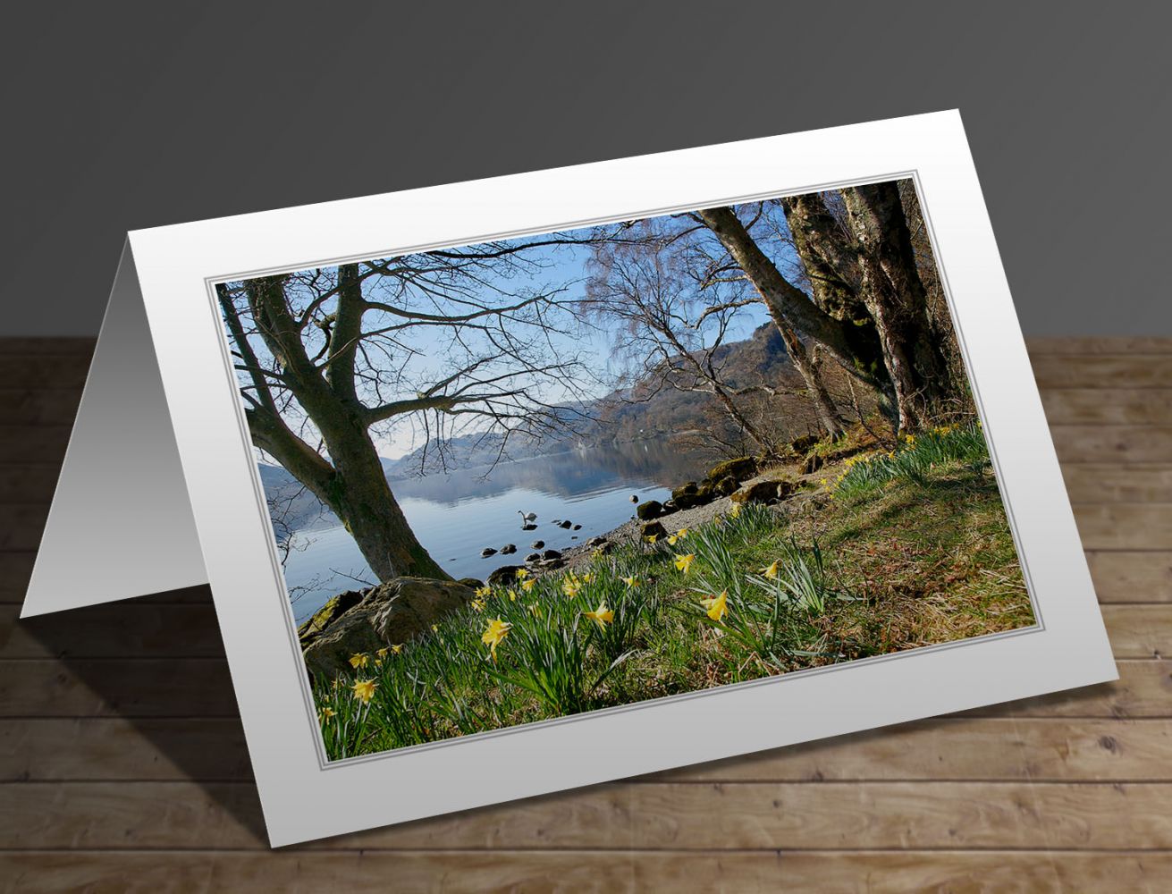 Daffodils at Wordsworth Point, Ullswater Lake District greeting card